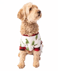 Evergreen Plaid Dog Onesie Flapjack -Engel Cheap Store DFJ984 WEB MS1 F01 12354.1697033713