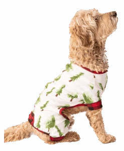 Evergreen Plaid Dog Onesie Flapjack