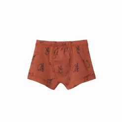 Organic Boxer Shorts - Bluegrass Bears Coco Print