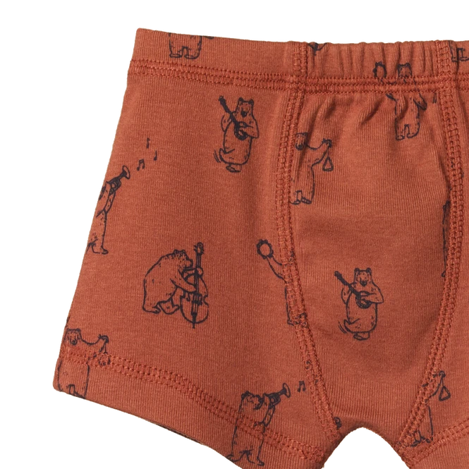 Organic Boxer Shorts - Bluegrass Bears Coco Print 2 Organic Boxer Shorts - Bluegrass Bears Coco Print - Image 2